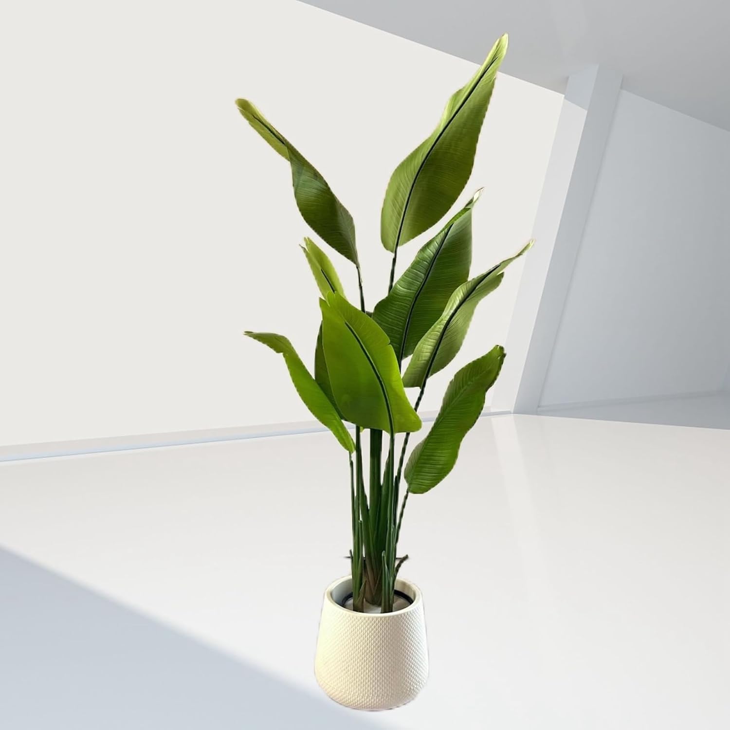 人工観葉植物 (旅人の木) 屋外 インテリア雑貨 大型 造花 人工樹木 店舗 風景 家庭 室内 裏庭 事務所 フェイクグリーン 装飾り お祝い デコ用 グリーナリーライフ お手入れ簡単 害虫が発生しな|サステナライフ