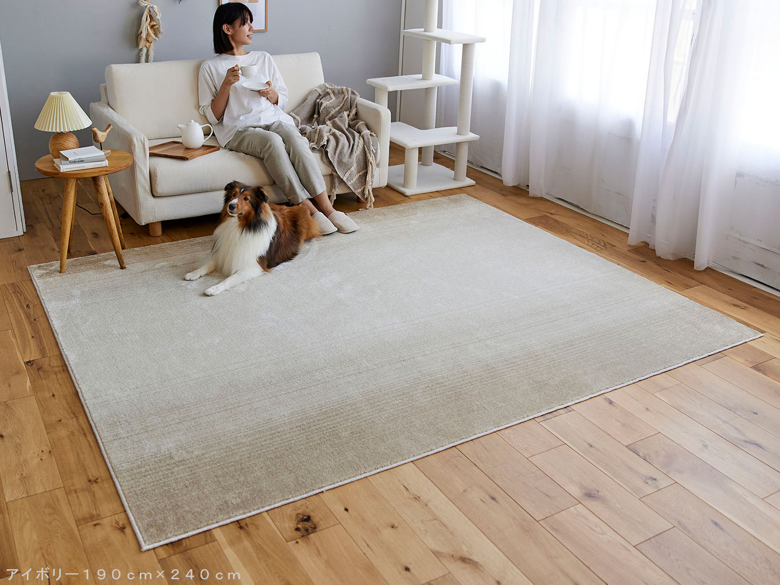スミノエ マールII リビング ラグ 【サイズ：約190cm×240cm】【日本製】 防ダニ 床暖房対応 ホットカーペット対応 消臭機能　滑り止め付き 遊び毛防止 マール2 住江織物 HOME RUG Relax with