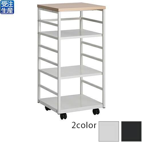 【送料無料】【受注生産品】【法人専用】テラモト ラダーキャビネットFT|サティウェル店