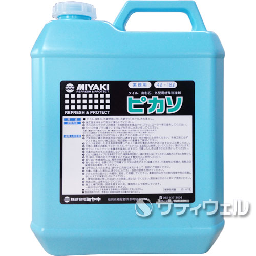 【貨物輸送無料】ミヤキ パブロ・ピカソ 4L