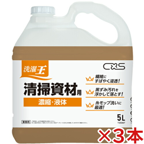 シーバイエス 洗い濯ぎ王 洗い濯ぎ原材料用 5L×3本 【貨物輸送無料】