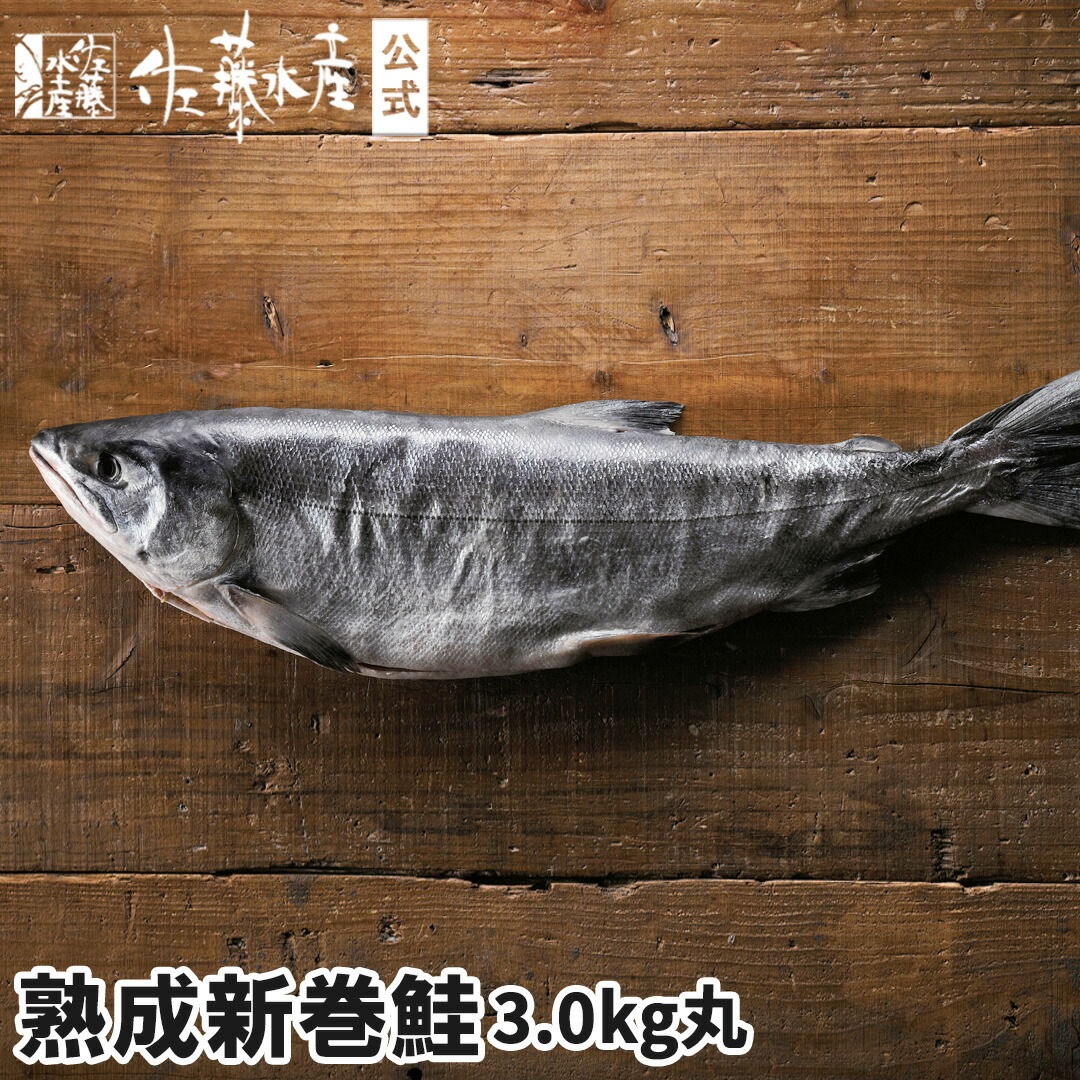 aramaki30kgm.jpg
