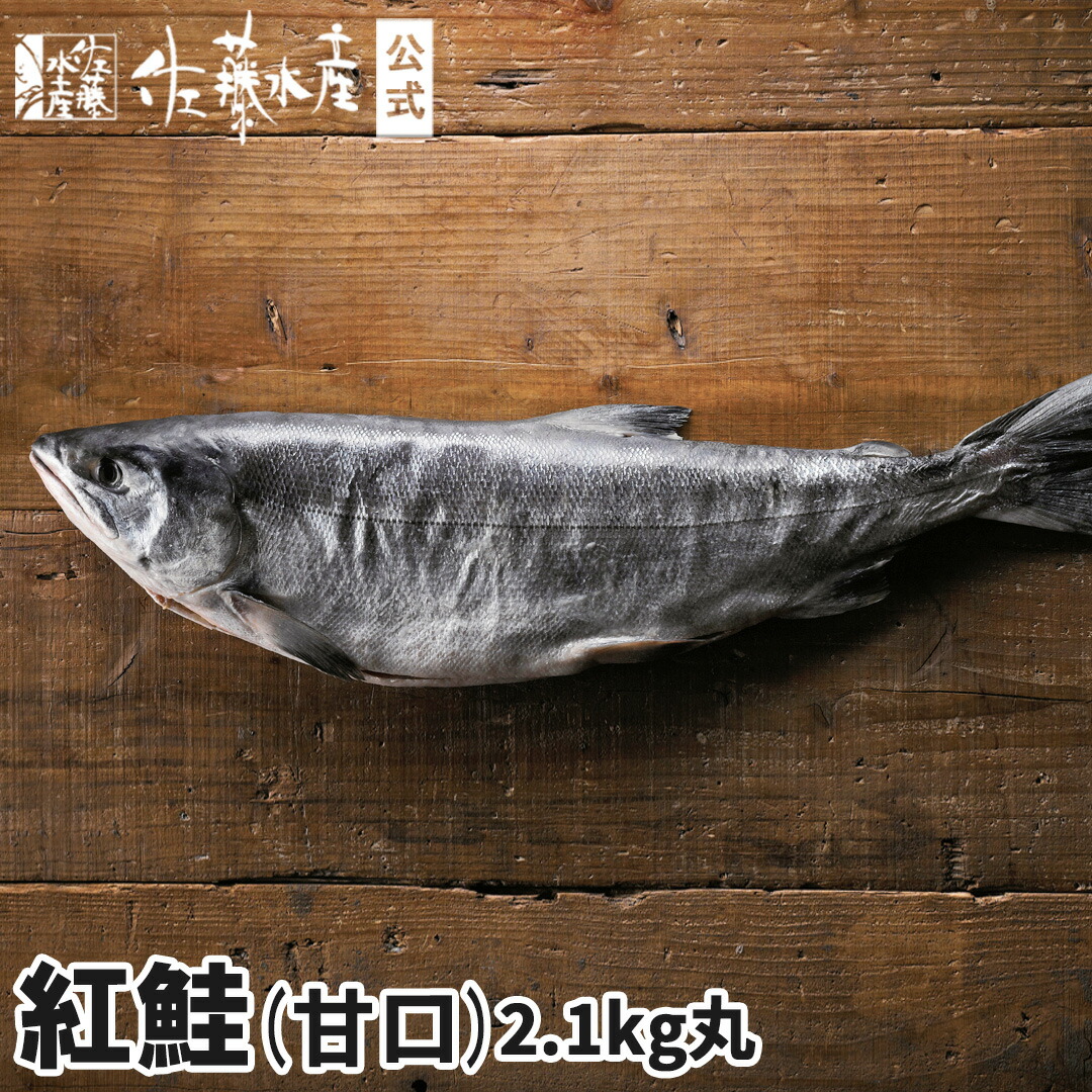 9730サカナおまとめ商品 9730サカナおまとめ商品 sk24_img01.jpg