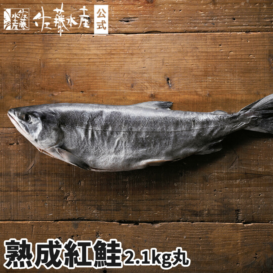 楽天市場】熟成新巻鮭 2.6kg(丸) : 佐藤水産楽天市場店
