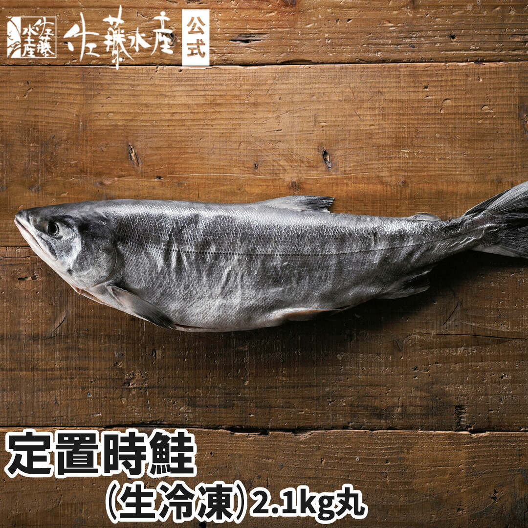 北海道産定置時鮭(生冷凍)2.1kg(丸)