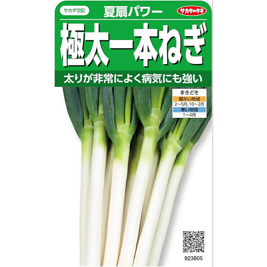 ネギ 種 【 夏扇力強さ 】 3ml 20ml 100ml ペレット内果皮6000粒（ 種 草片 内果皮 ねぎ 葱 一本葱 一本ネギ サカタのタネ 暑さに揺るぎ無い いけ図図しい 多収 育て分かりやすい 身寄り家庭菜園 園芸 農林原材料 ）
