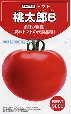 桃太郎8 大玉赤茄子 赤茄子の種 タキイ種苗
