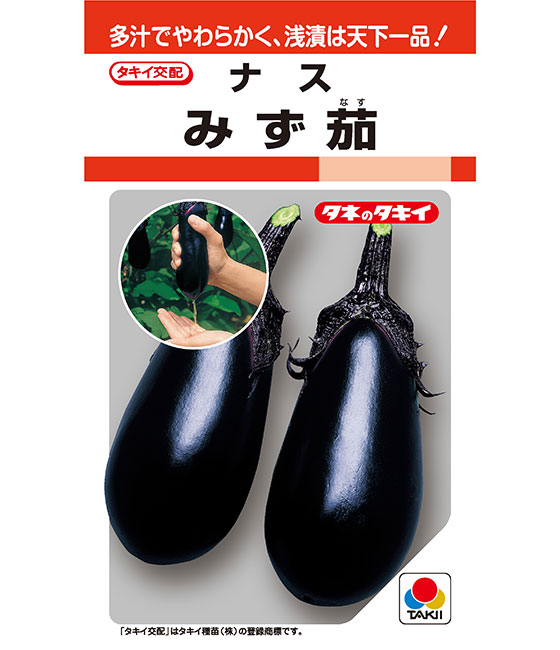 茄子 種 【 みず茄 】 25粒 50粒 200粒 500粒 1000粒 2000粒 タキイ種苗 水茄子 水なす みずなす 内果皮 身寄り家庭菜園 蔬菜 浅漬け 生食 パステル色の