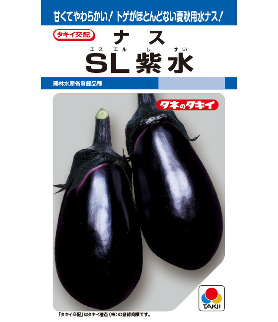 楽天市場】早生真黒茄子 わせしんくろなす Early Shinkuro Eggplant