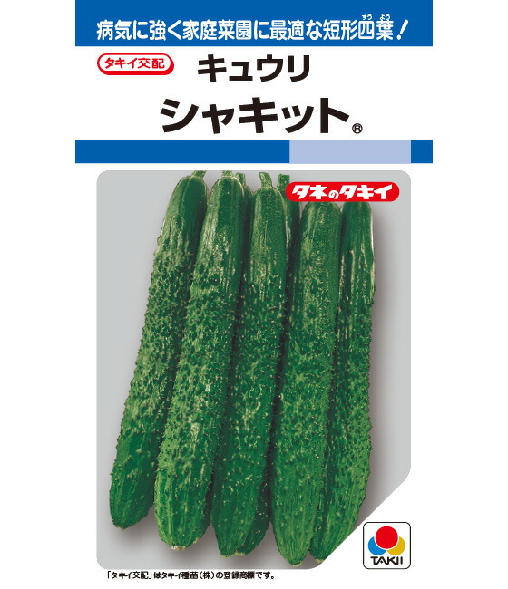 シャキット 胡瓜 胡瓜の種 きゅうり タキイ種苗