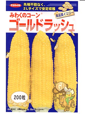 【 ゴールドラッシュ 】 トウモロコシ 種 トウモロコシの種 とうもろこし サカタのタネ 6,600円