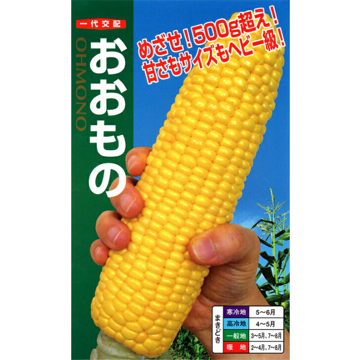 楽天市場】スイートコーン ゴールドラッシュ(R)90 （約55粒） 実咲 袋