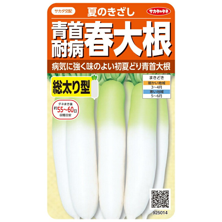 【楽天市場】【 夏のきざし 】 大根 種 大根の種 ダイコン だいこん サカタのタネ 約5.5ml:さとうのタネ 楽天市場店