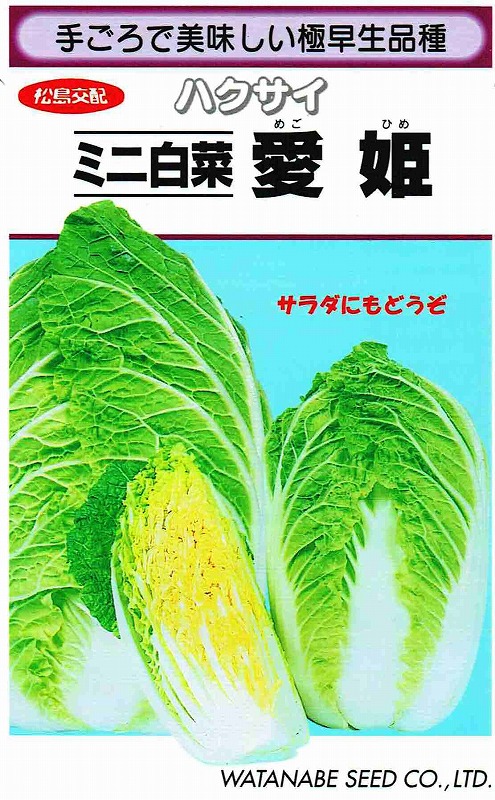 【 愛姫 】 白菜 種 白菜の種 種子 ミニ白菜 渡辺採種場 松島交配