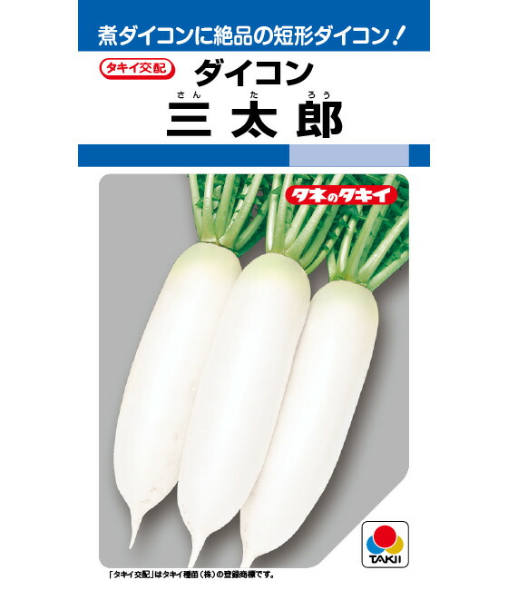 【三太郎 】 大根 種 大根の種 種子 ミニ大根 短形大根 短い大根 タキイ種苗