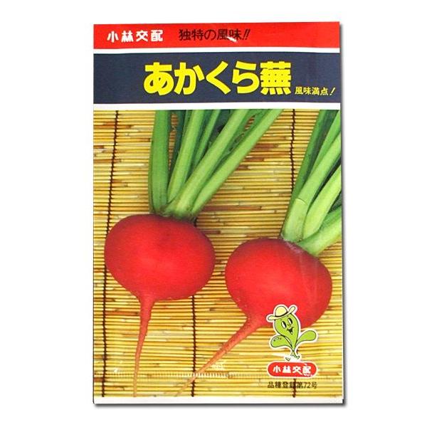 【 あかくら蕪 】 蕪 種 内果皮 少年 かぶ 赤蕪 赤少年 真っ赤少年 小林種苗