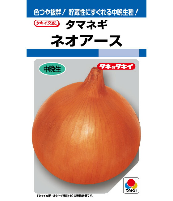 ネオアース 玉葱 種 種子 タマネギ 玉ねぎ 玉ねぎの種 中晩生 タキイ種苗｜さとうのタネ　店