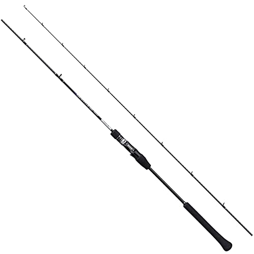 シマノ(SHIMANO) ソルトウォーターロッド オフショア(ジギング) グラップラーBB タイプLJ 2021 B66-0 オフショア 送料無料