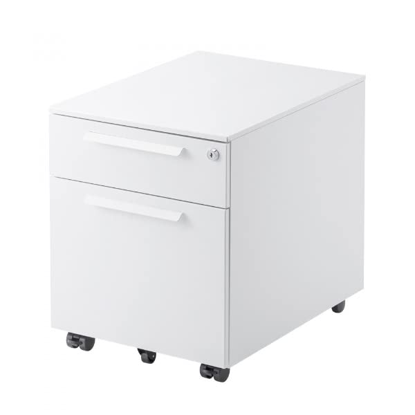 サンワサプライ キャビネット SNW-105W 送料無料