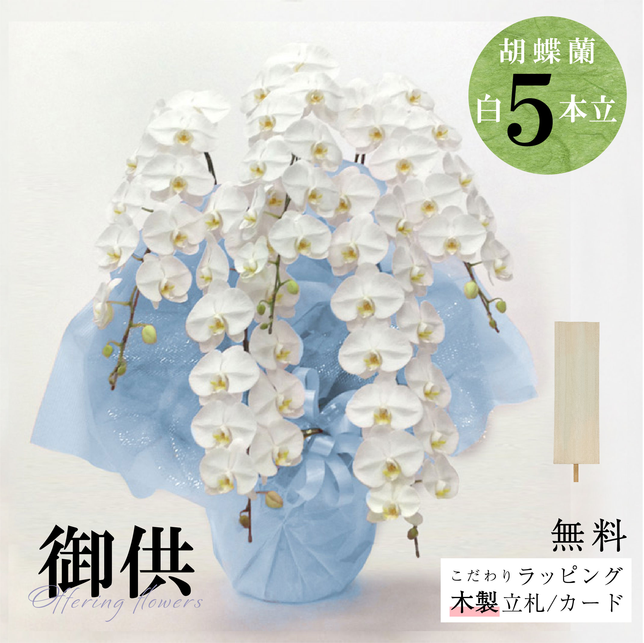 お供え 国産 老舗フローリストが贈る「ついて行く 夢見鳥蘭（5本立）ラッピング、筆耕木製立札付き添い人」花 夢見鳥蘭 5本立 お悔やみ 墨付き札 ついて行く 供花 仏花 法要 四十九日 花贈り 法人 人間 サトウ花店 厳選 花持ち 札 墨付き