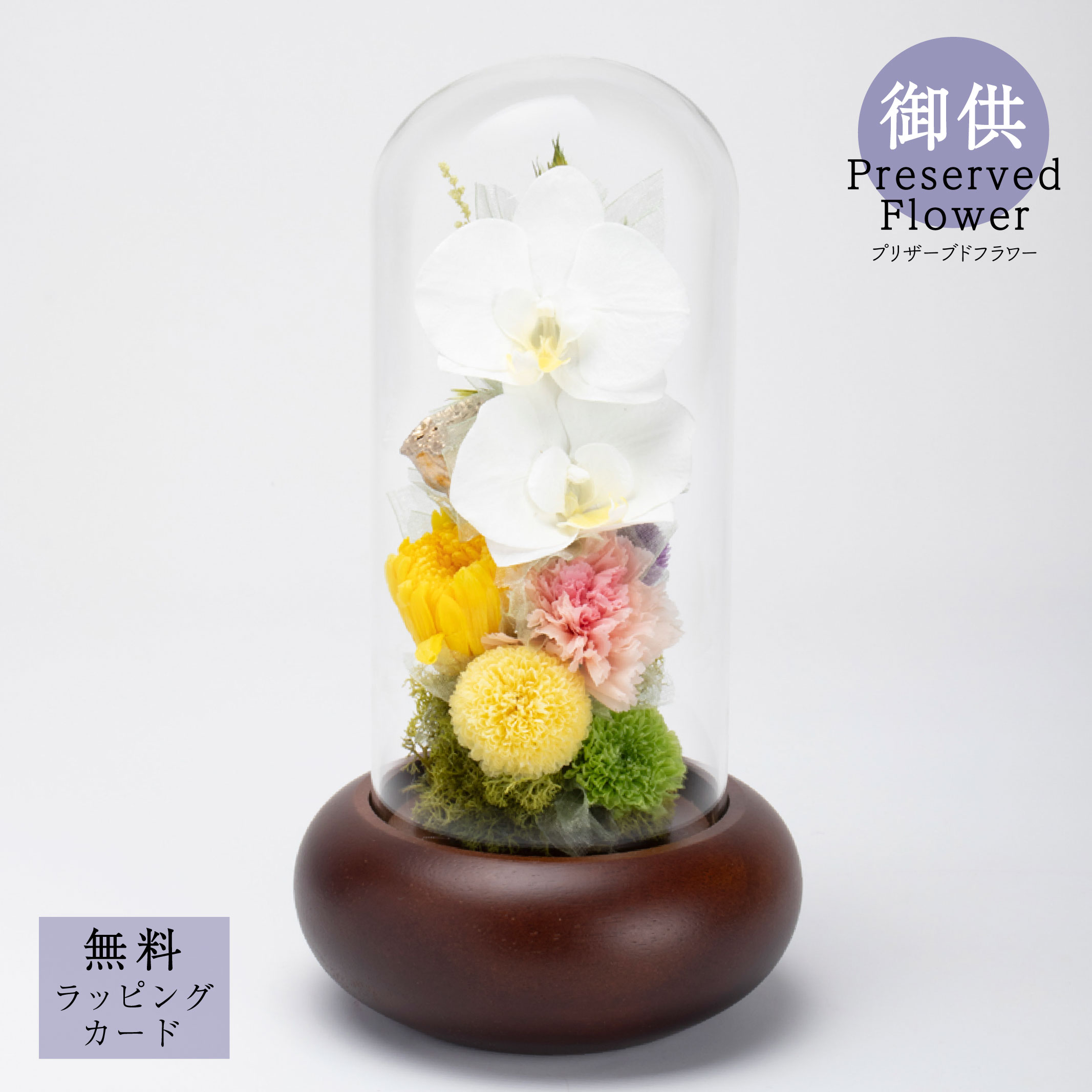 お供え 御供プリザーブドフラワー「Zen (ゼン/禅)」花 胡蝶蘭 供花 仏花 法要 四十九日 枯れない 花贈り 自宅用 サトウ花店 ケース付き お手入れ簡単 ドーム型 木製 インテリア 飾りやすい おしゃれ 胡蝶蘭