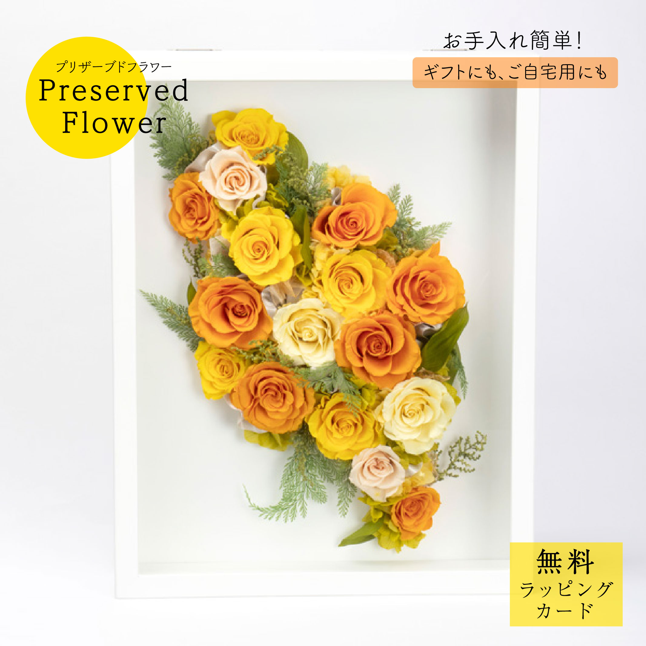 プリザーブドフラワー「igpr1224」花 飾りつけ 壁に飾れる 薔薇 差し上げ物 差し上げ物 枯れない 御祝 開店祝 生まれ落ちる日 晴れ晴れしい 好いたらしい 愛くるしげ パステル色の 晴れ晴れしい オレンジ色 黄色 黄味がかった 緑であること 入れもの付き添い人 お取りつくろう飾り気の無い 大きめ サトウ花店