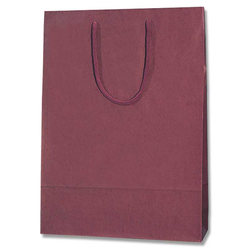 登場大人気アイテム 箱の店 手提袋 カラーハンドルバッグ LW グレー 600枚入 K05-4901755371062-6H 