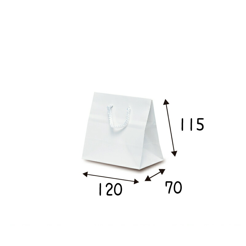 【入れもの売りわたす】紙袋 キュートうしろ側 白いこと  100枚 ｻｲｽﾞ 120×70×115粍【お役目用 飛び切り 手提げ ラッピング つや有 グロス 光輝感】