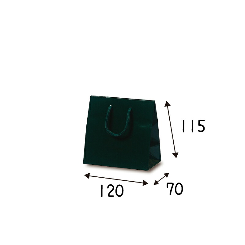 【ケース販売】紙袋　キュ－トバック　ダ－クグリ－ン　　100枚　 ｻｲｽﾞ 120×70×115mm【業務用　高級　手提げ　ラッピング　つや有　グロス　光沢感】