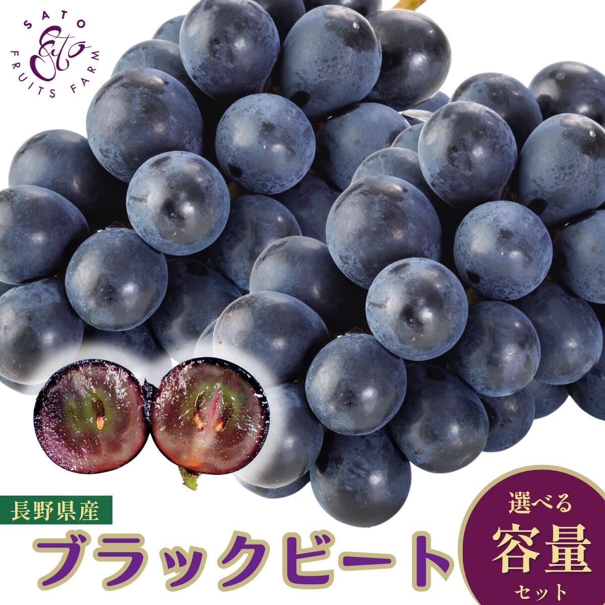 ブラックビートの商品写真