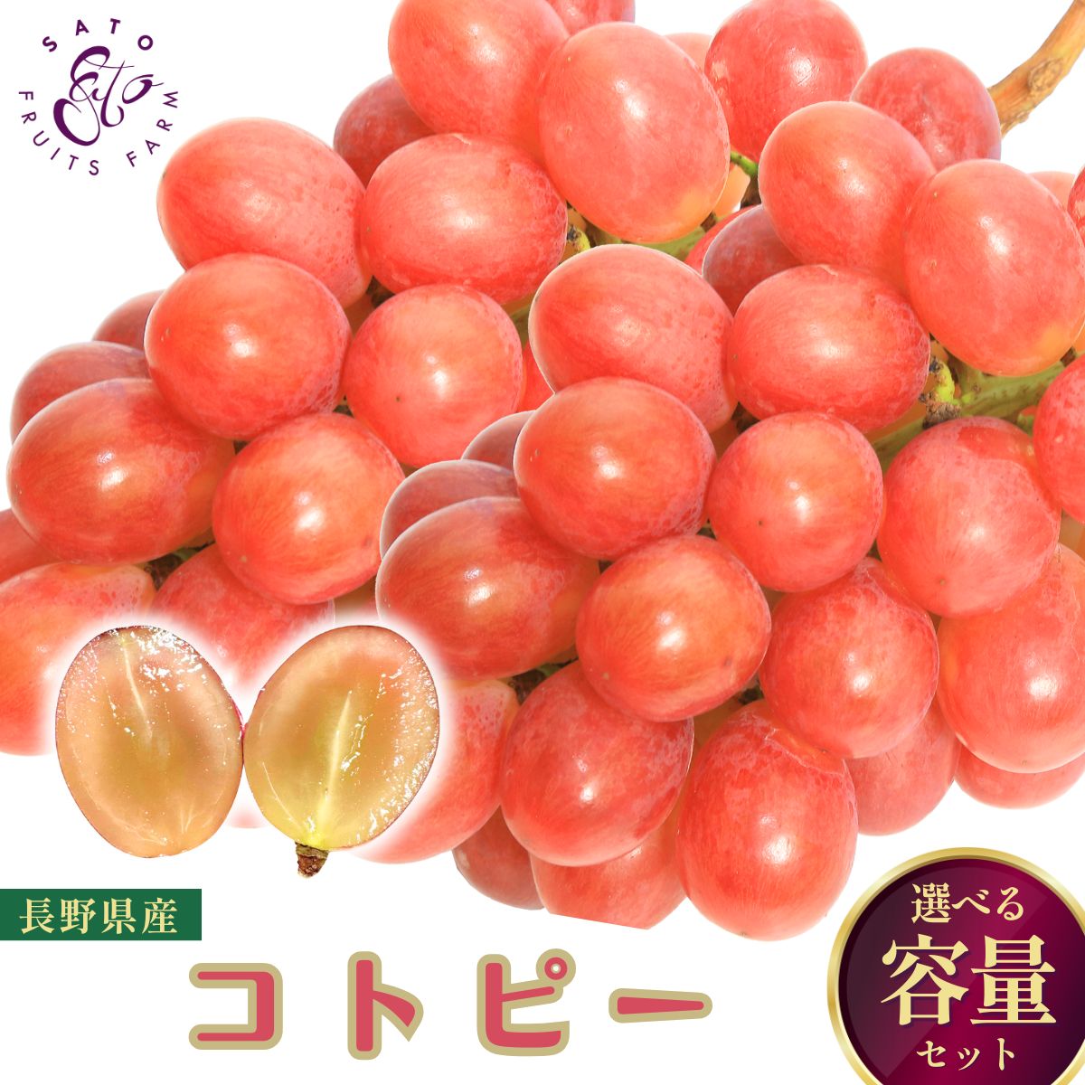 【サマーセール中 10％OFF】コトピー 房・粒 ギフトセット 長野県須坂市産 赤ぶどう 種なし 皮ごと食べられる 希少品種 高級ぶどう ギフト 贈答用 内祝い 敬老の日 プレゼント 送料無料 産地直送 佐藤果樹園【2026年9月上・中旬～10月下旬順次発送】｜佐藤果樹園オンラインストア