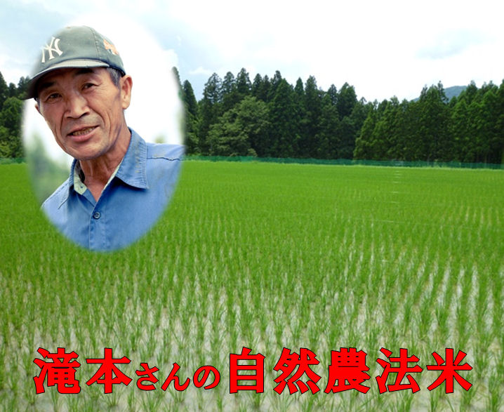 〔 令和８年産 新米 予約 〕 無農薬栽培米 ] 玄米 滝本さんのお米 30kg / コシヒカリ / 無農薬・無化学肥料栽培 自然農法 / 福井県産 / 玄米 / コシヒカリ / 無農薬 米 / 無農薬米 / 自然栽培 玄米 / 滝本米 / 有機肥料栽培米 / 無農薬玄米３０K / 送料無料｜キープビギン　里の贈りもの