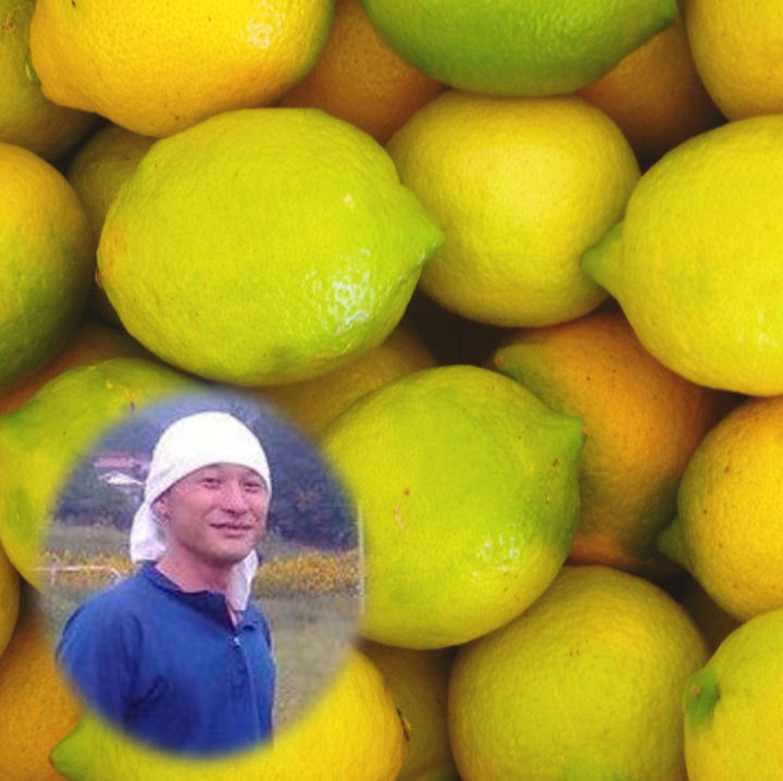 楽天市場】広島県瀬戸田産 無農薬レモン 2kg 【AB混合品】国産 レモン