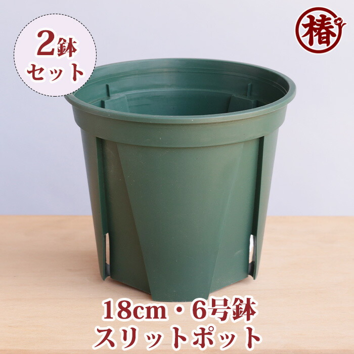 楽天市場】【送料無料】スリットポット18cm・6号鉢 EU-18 カネヤ
