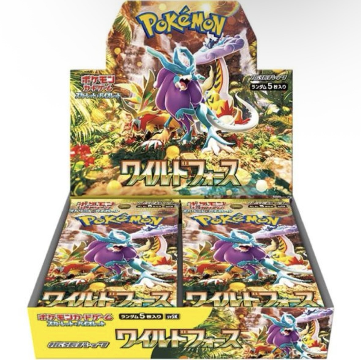 い*)様 テラフェス／超電／ワイルド／サイバー ポケモンカードBOX シュリンク compass1756352076.jpg