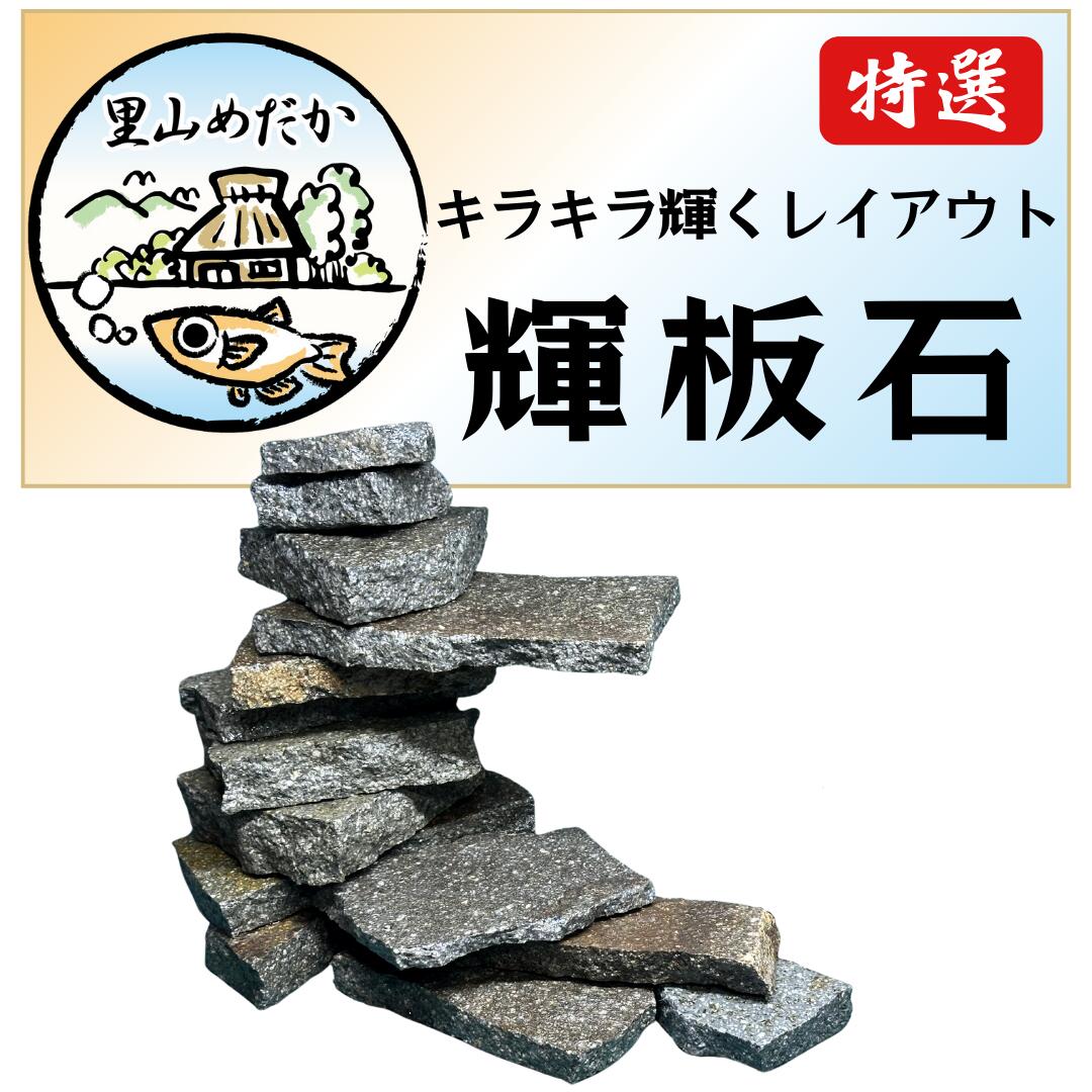 楽天市場】マジックリーフ 10枚｜ブラックウォーターで水質安定＆産卵