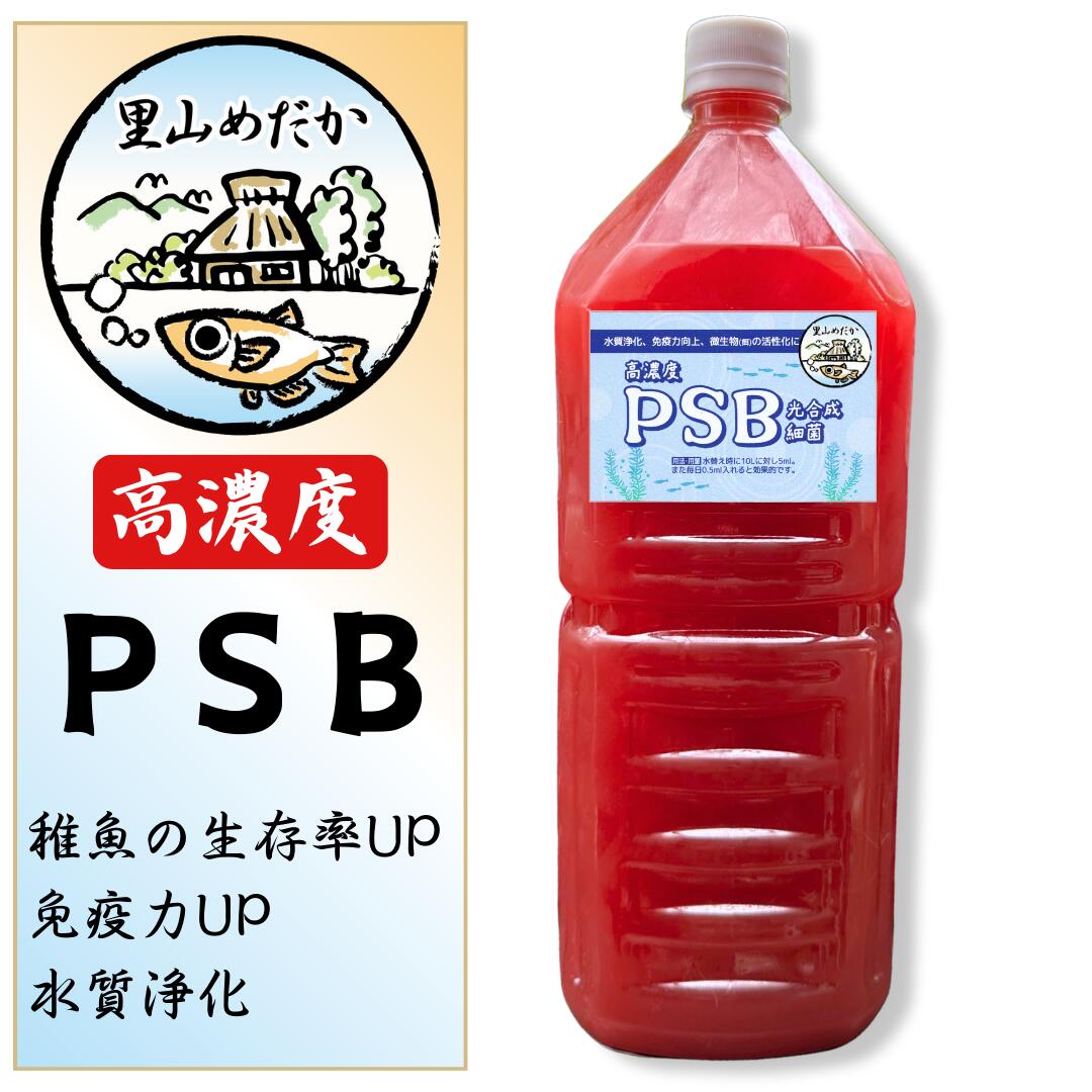 楽天市場】マジックリーフ 10枚｜ブラックウォーターで水質安定＆産卵