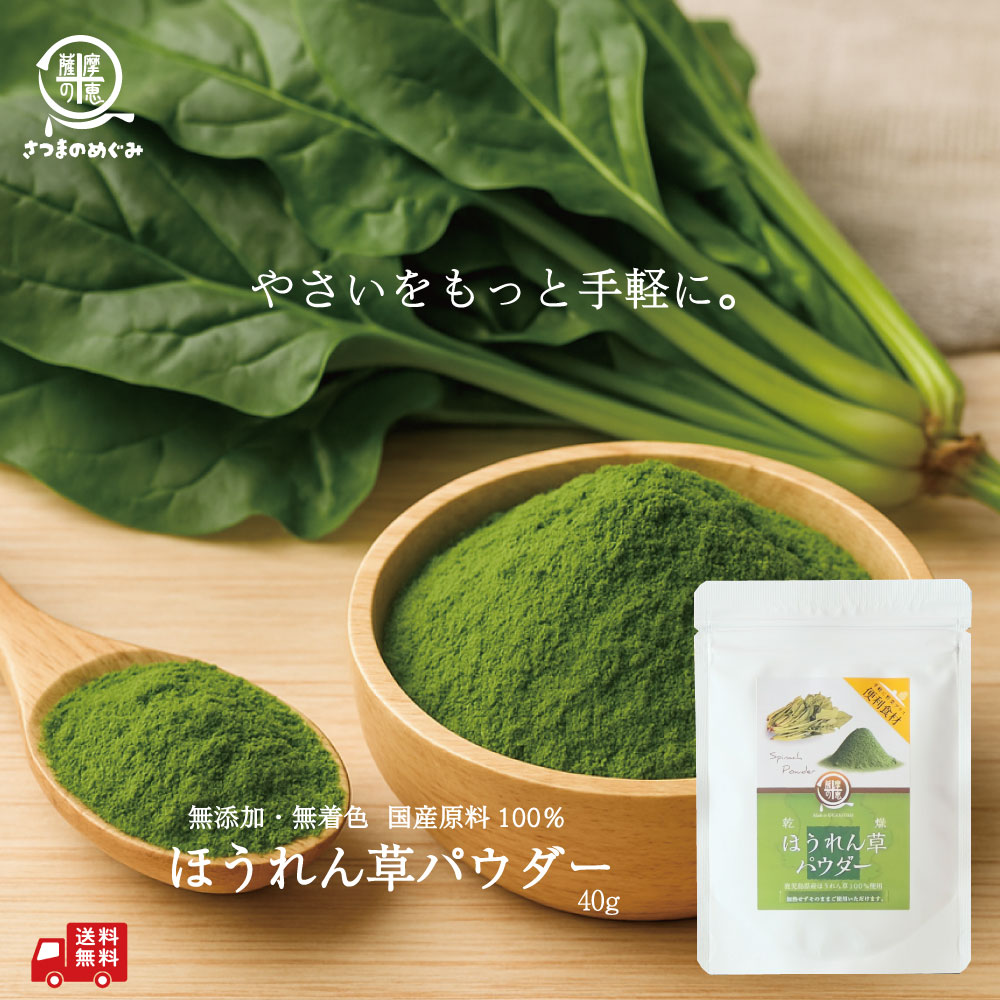 ほうれん草ファインパウダー １００g× ４８袋 ほうれん草ファインパウダー 100g : 三笠産業 | スモール