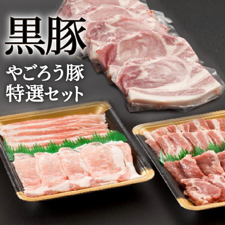 【かごしま黒豚】鹿児島黒豚やごろう豚づくし詰合せ 送料無料 お取り寄せギフト お取り寄せ 肉 黒豚 ギフト豚肉 豚バラ ロース お祝い 黒豚しゃぶ 黒豚焼肉 焼き肉 黒豚味噌漬け 黒豚ロースステーキ 鹿児島 かごしま 敬老の日 母の日 父の日 2026 お中元向き