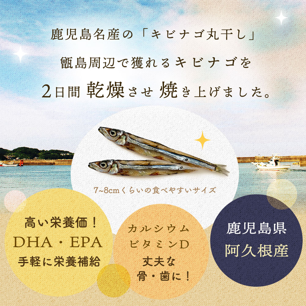 楽天市場 送料無料 おつまみ おやつ きびなご キビナゴ 鹿児島県産 無添加 焼キビナゴ丸干し 25g 2パック 薩摩の恵 楽天市場店