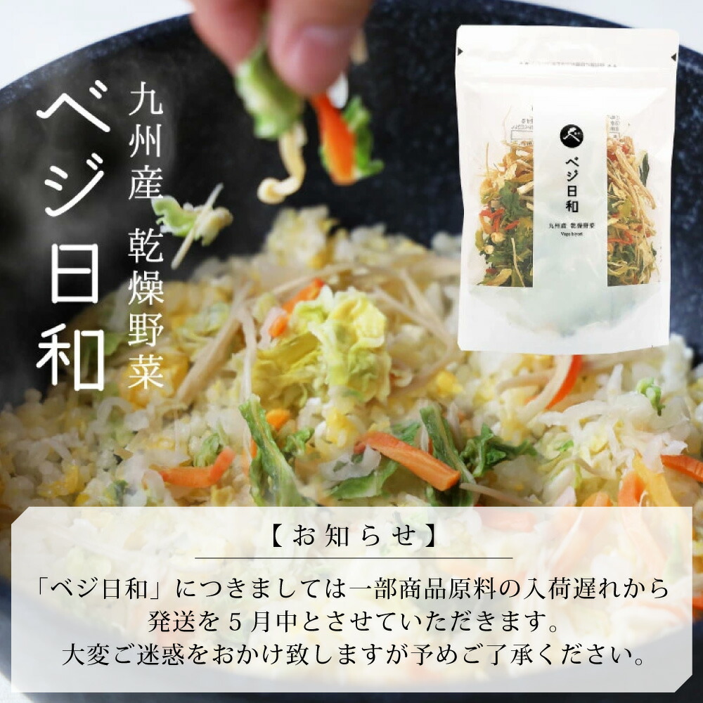 市場 乾燥野菜 乾物 ベジ日和 長期保存 野菜 防災食品 食品 100g 乾燥野菜ミックス 非常食 訳あり 保存食 フリーズドライ 在庫処分