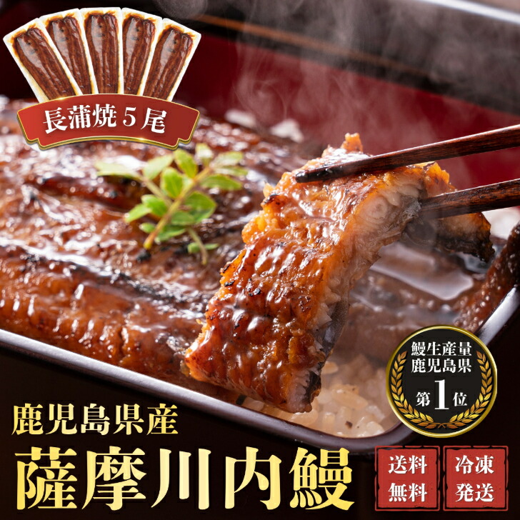 【ポイント5倍 ～7/26 1:59まで】うなぎ　国産　蒲焼　５尾セット　ギフト　贈答　鰻重　鰻丼　お歳暮　母の日　父の日　お中元　敬老の日　送料無料　鹿児島県産｜薩摩川内鰻
