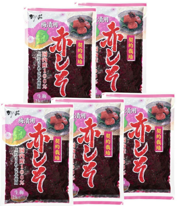 【こぼページ】南高梅干し【2L〜3L】（500g）+赤紫蘇（100g）✕8 81h6-K-gA7L._UF350,350_QL50_.jpg