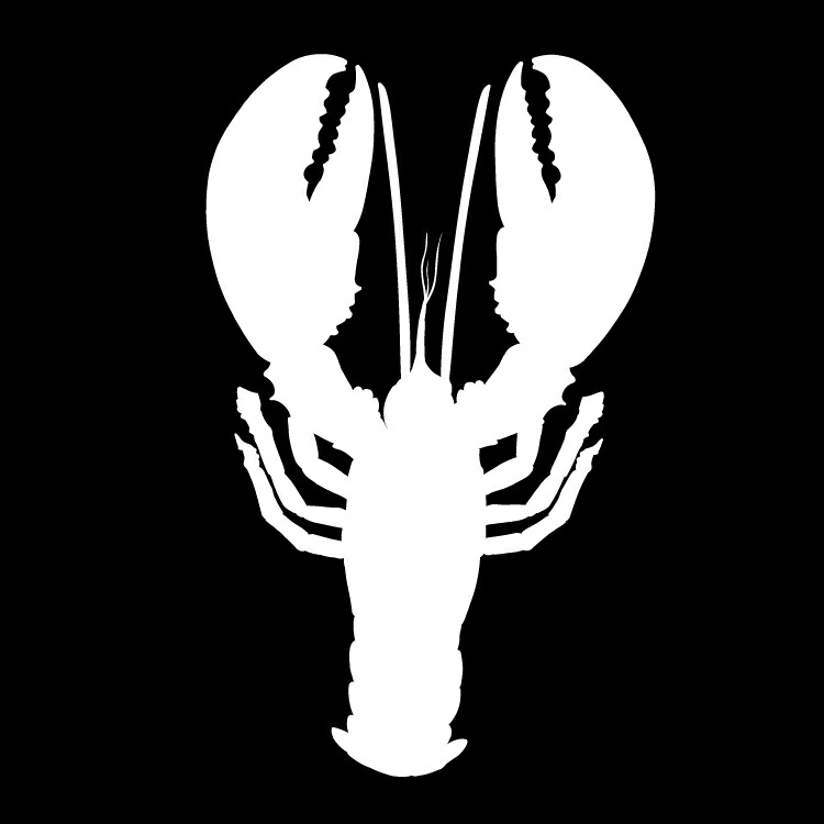 458048860527-386.jpg
