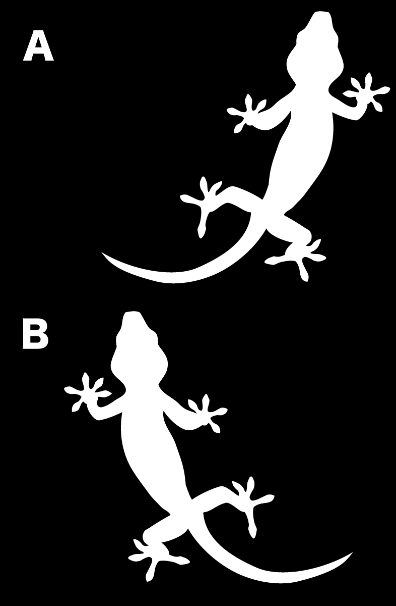 楽天市場】携帯電話・スマホ等に！ 【車やバイクにも！】ヤモリ gecko