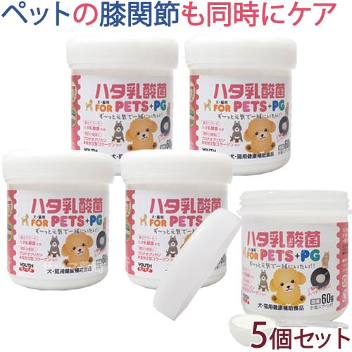 【特設SALE会場】5月9日20時から キャットフード・サプリメント-猫用品