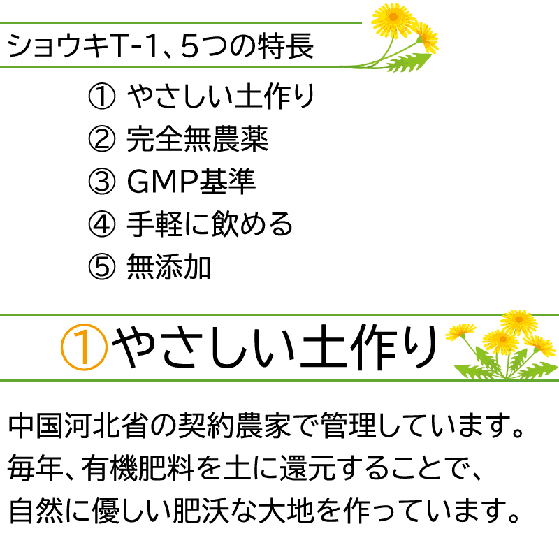 楽天市場 選べるオマケ付 ショウキt 1プラス 30包 1箱 あす楽 楽天ポイント5倍 ノンカフェイン たんぽぽ茶 タンポポティー 糖鎖 おちゃ お茶 しょうきt1 プラス たんぽぽちゃ ショウキt 1 ショウキt1プラス ショウキt 1プラス タンポポ茶 健康飲料 漢方の