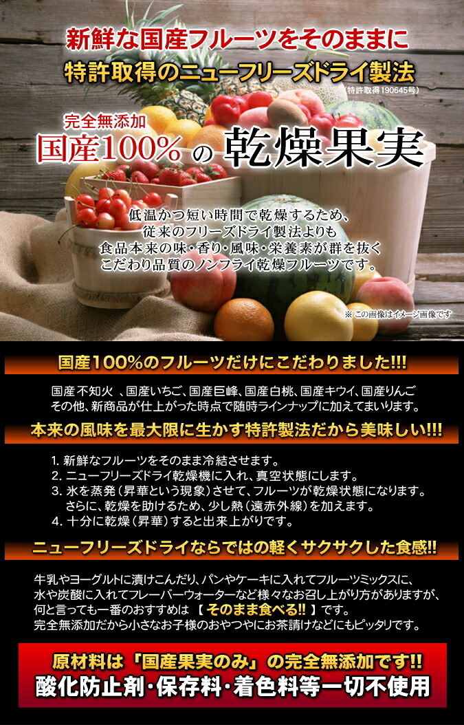 国産乾く液果続きもの 乾燥いちご 90g オランダ苺 国産素材100 ニューフリーズ無味乾燥作り方 免許克ち取る Fd Ad ドライ 大気ドライ ドライフルーツ 果物 Hotjobsafrica Org