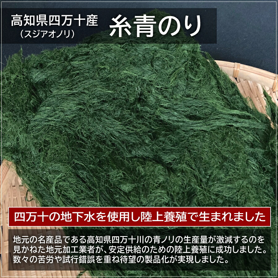 【楽天市場】2022年産 徳島県産 糸青のり 30g入 スジアオノリ 徳島大学発ベンチャー 徳島藻類研究所 陸上養殖 海苔 乾燥 すじあおのり ...