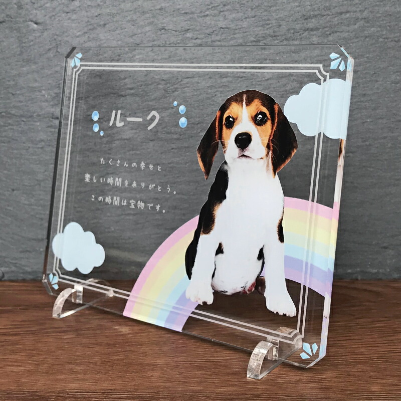 1794円 【SALE／62%OFF】 ペット フォトプレート 犬 猫 愛犬 愛猫 メモリアル メモリアルグッズ 花 虹 グッズ 写真 ペットグッズ  かわいい オーダーメイド オリジナル 遺影 仏具 位牌 ペット供養 記念 ペットロス 写真立て 文字入り フォト 思い出 アクリルスタンド